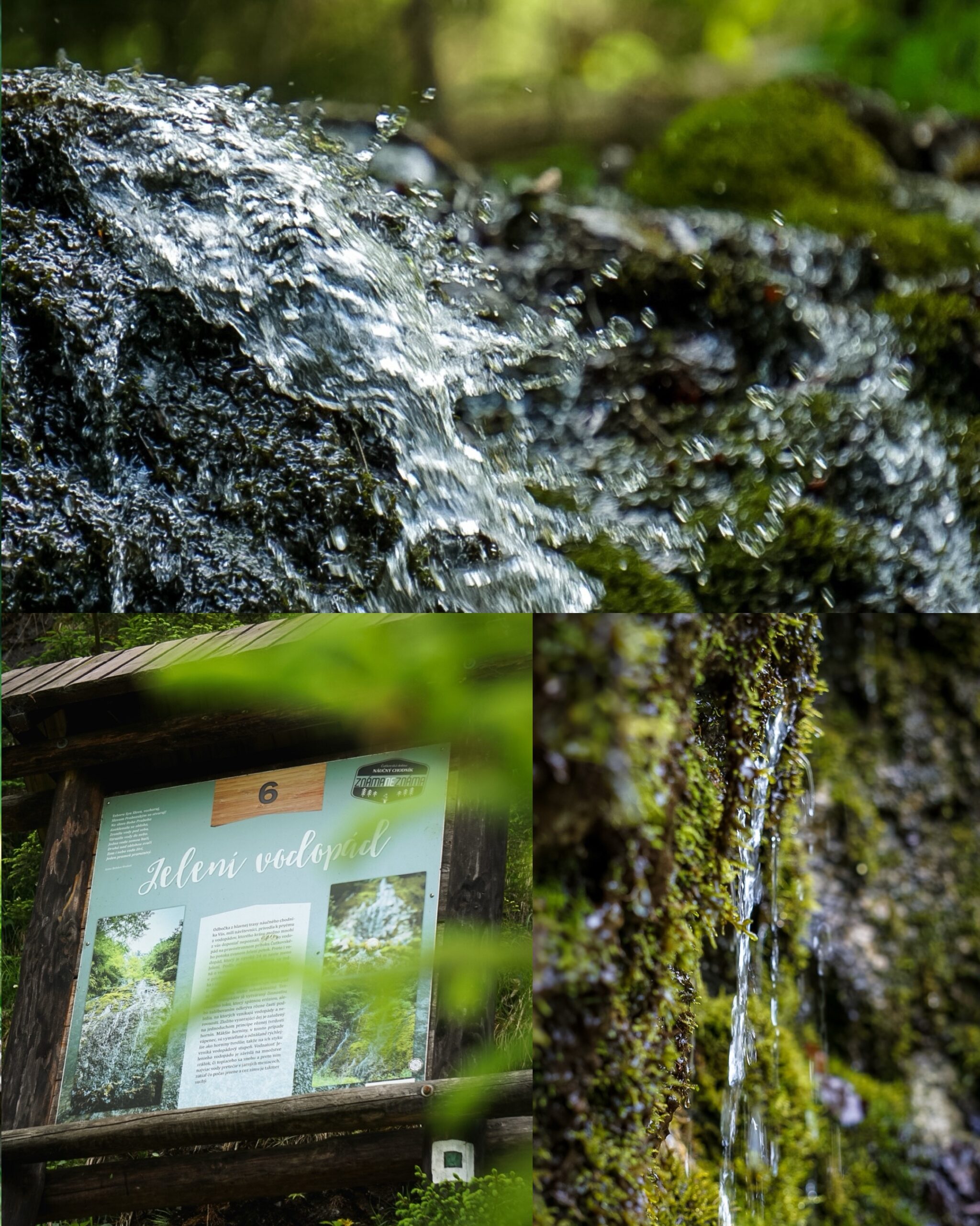 Potok w Dolinie Čutkovskiej,
Tablica informacyjna Jeleni Vodopad,
Strumień wody na mchu Jeleni Wodospad.