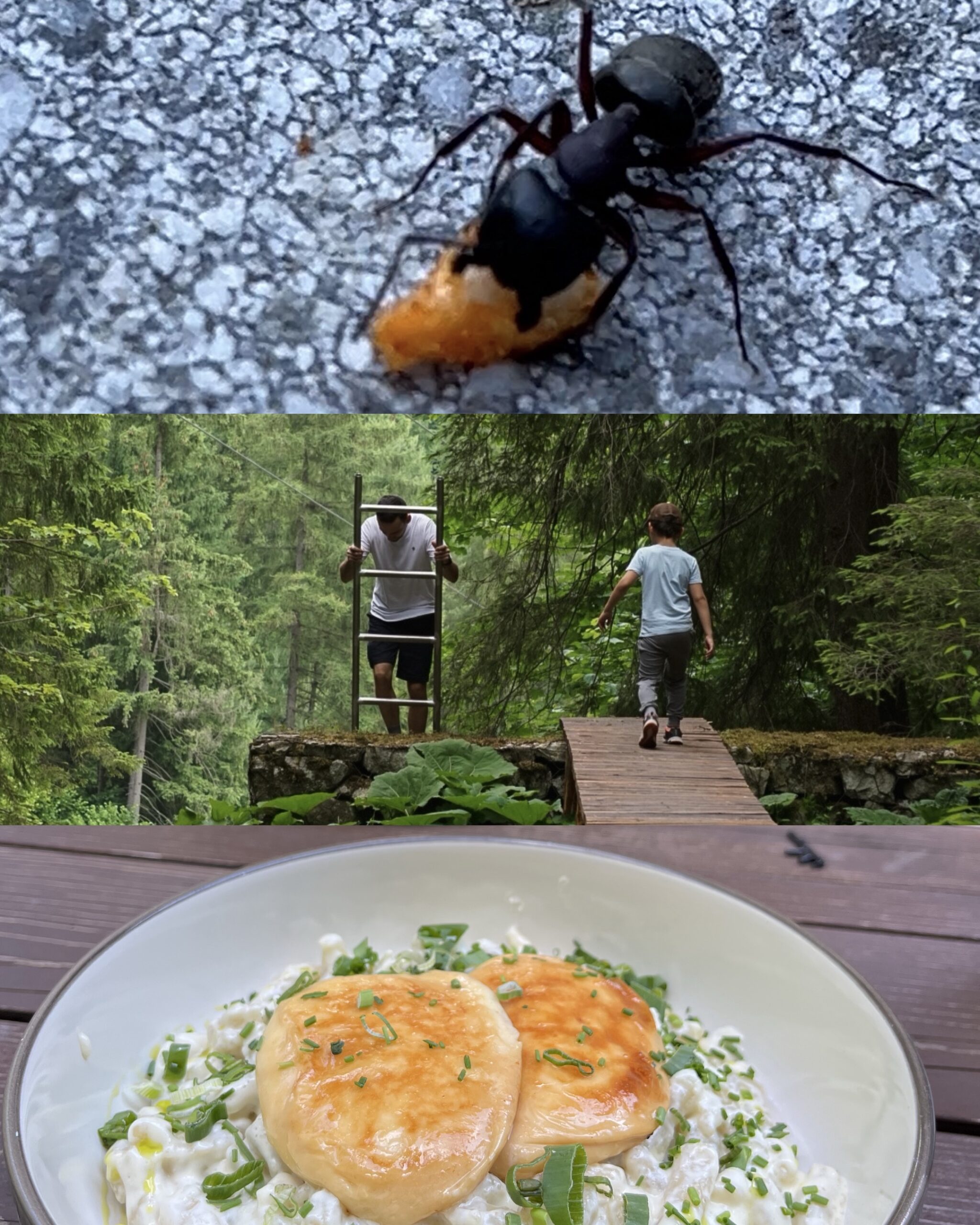 Bryndzové halušky z grillowanym oscypkiem Słowacja. Rodzinny spacer Dolina Hrabovska Słowacja.