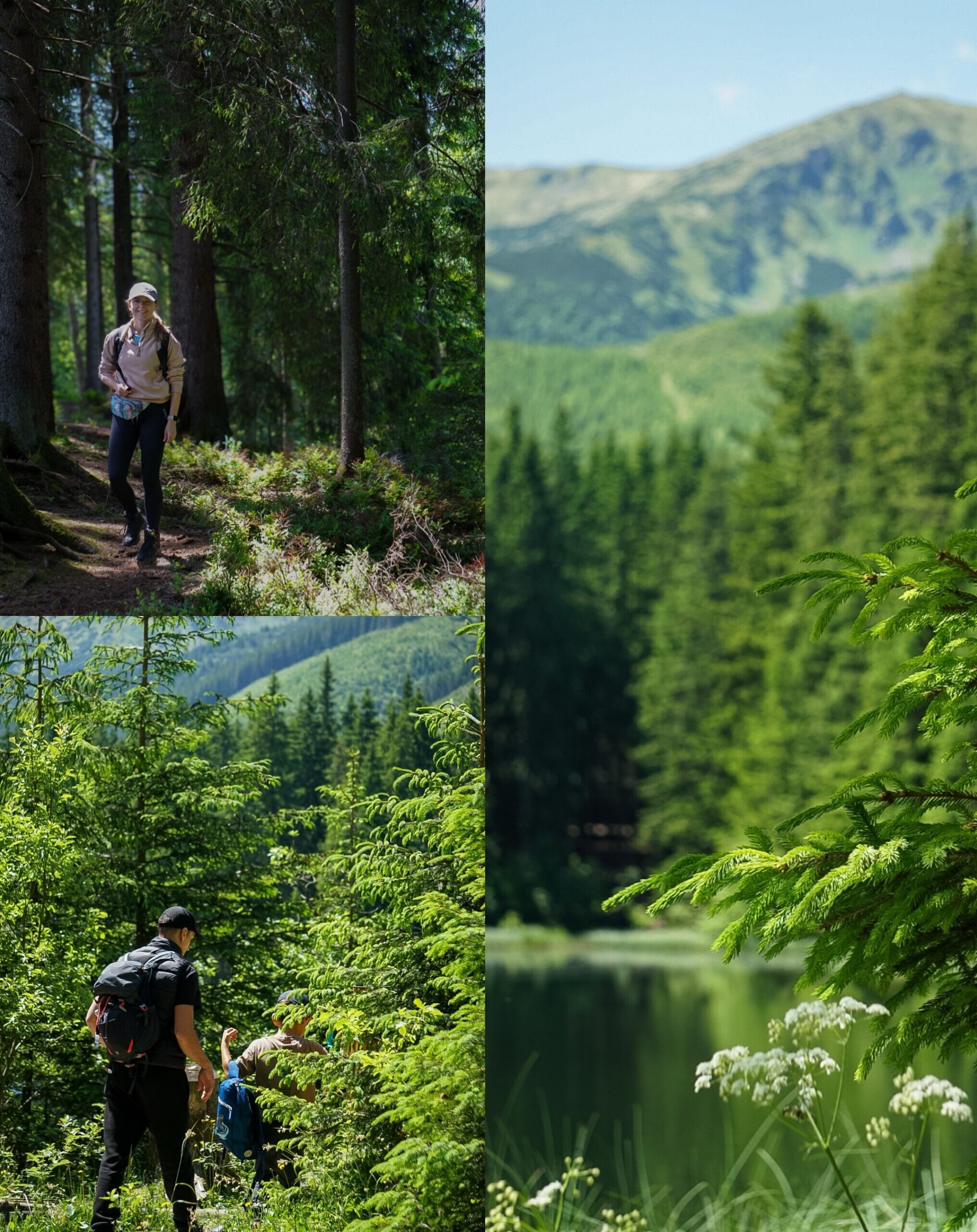 widok na Jezioro Vrbické, otoczone lasem, góry w tle, tata i syn