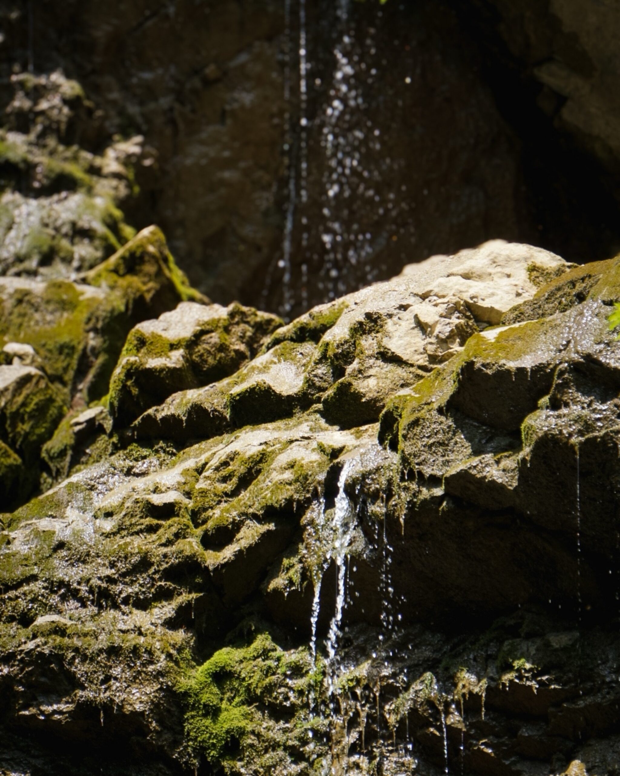 Wodospad Czerwone Piaski w Dolinie Prosieckiej, skały porośnięte mchem