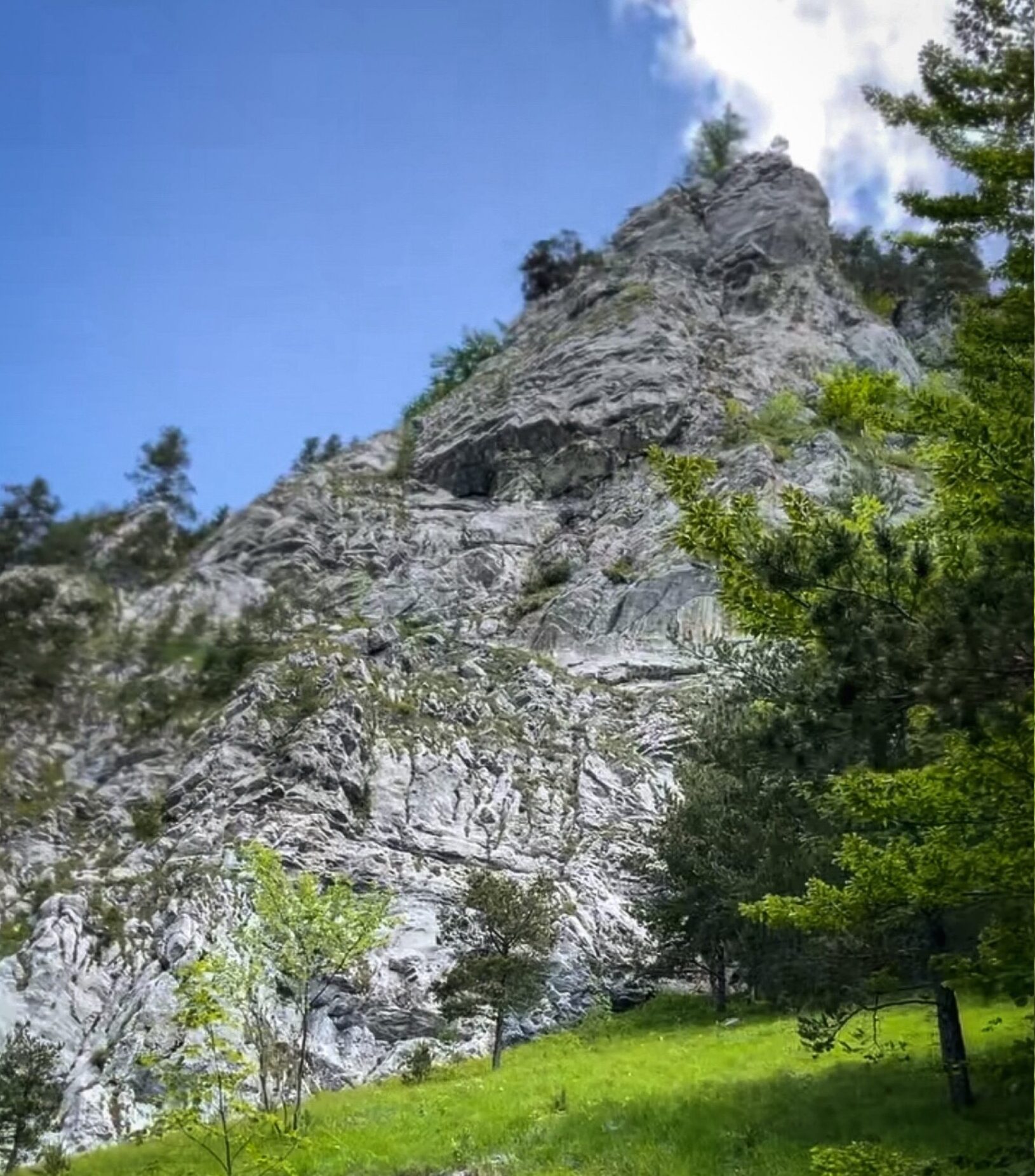 Wysokie wapienne ściany i zielone drzewa w Dolinie Prosieckiej
