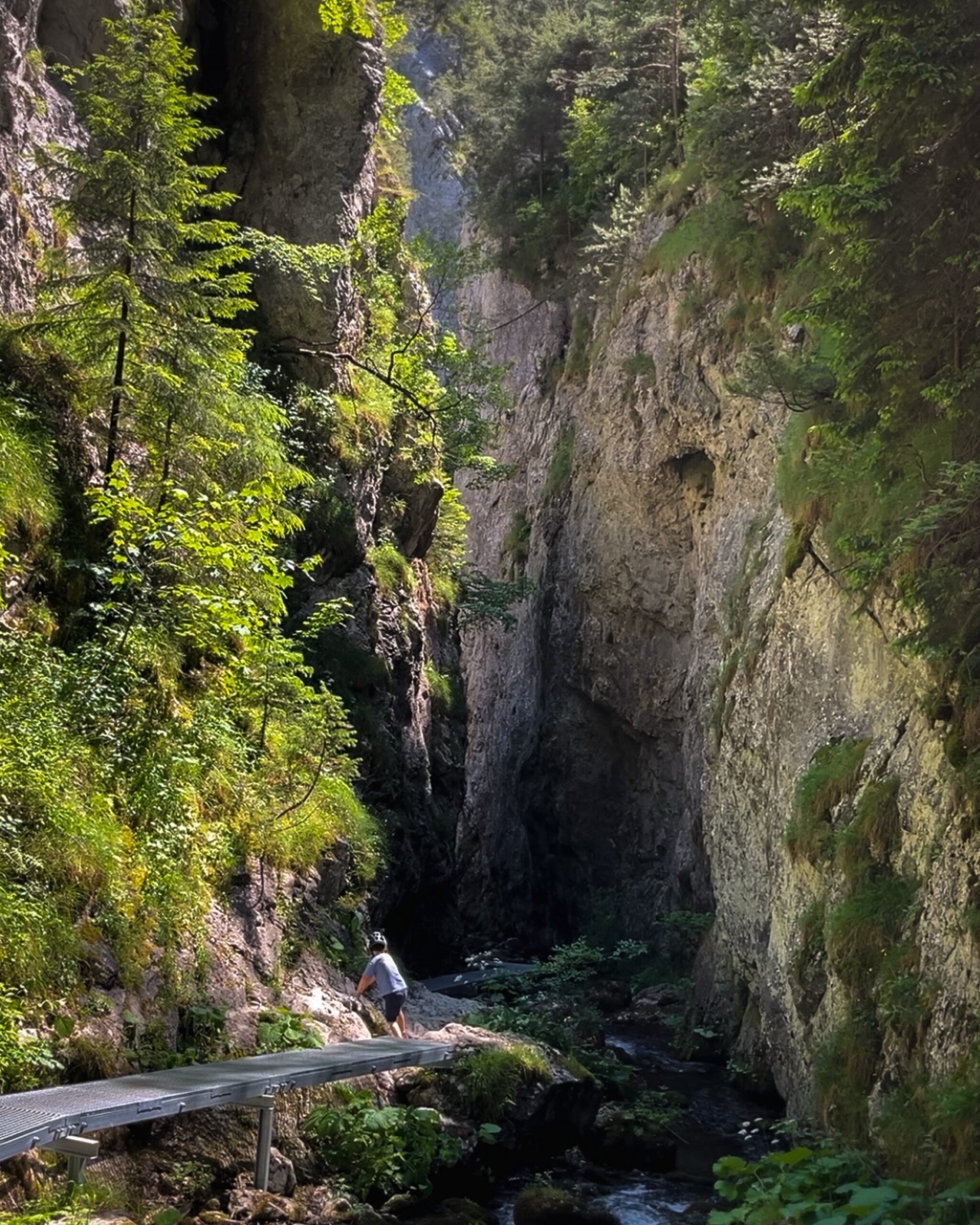 Wąwóz Doliny Prosieckiej z metalowym chodnikiem nad potokiem