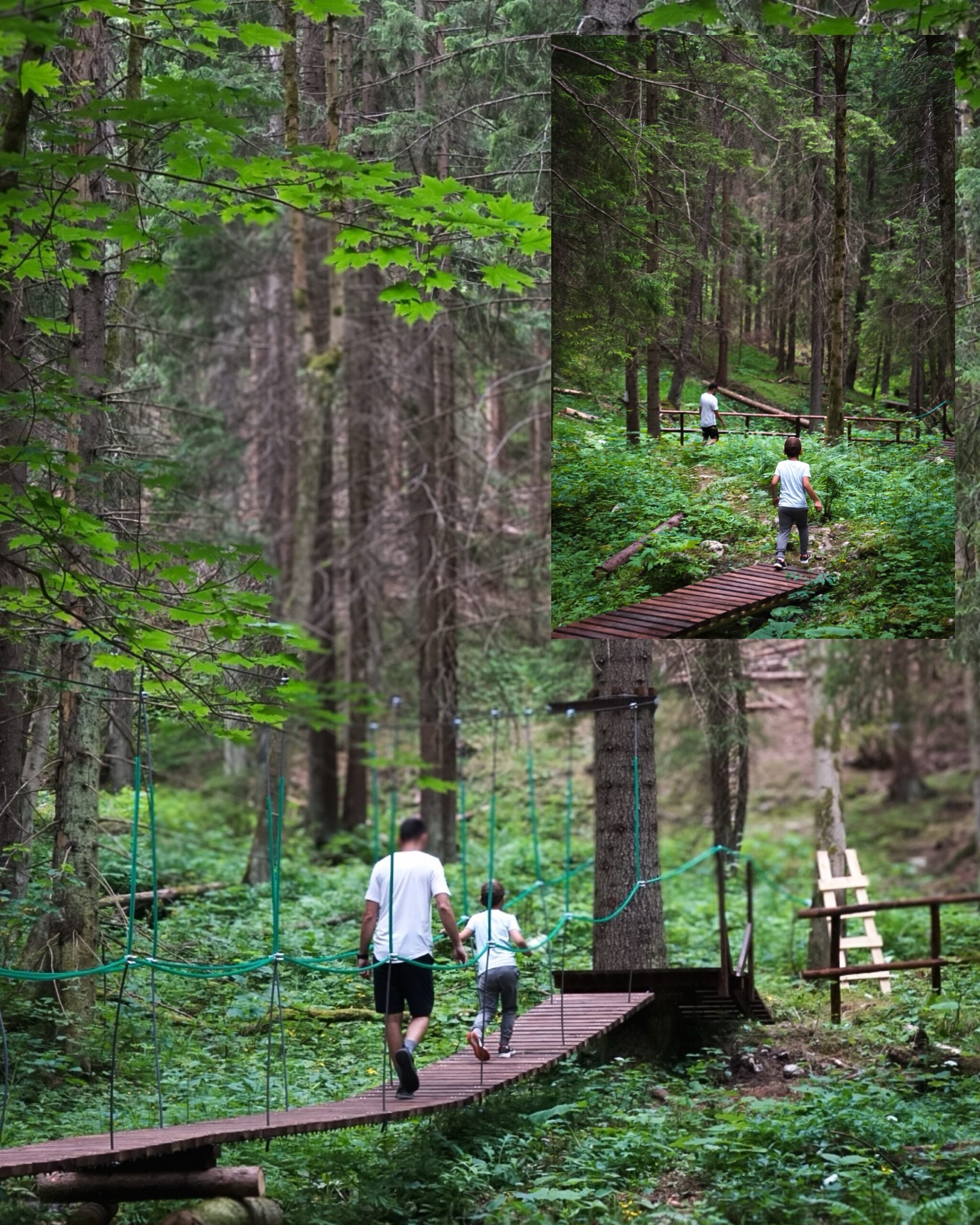 Ojciec i dziecko idą po wiszącym mostku w lesie w Dolinie Hrabovo, fragment ścieżki edukacyjnej Droga Niedźwiedzia.