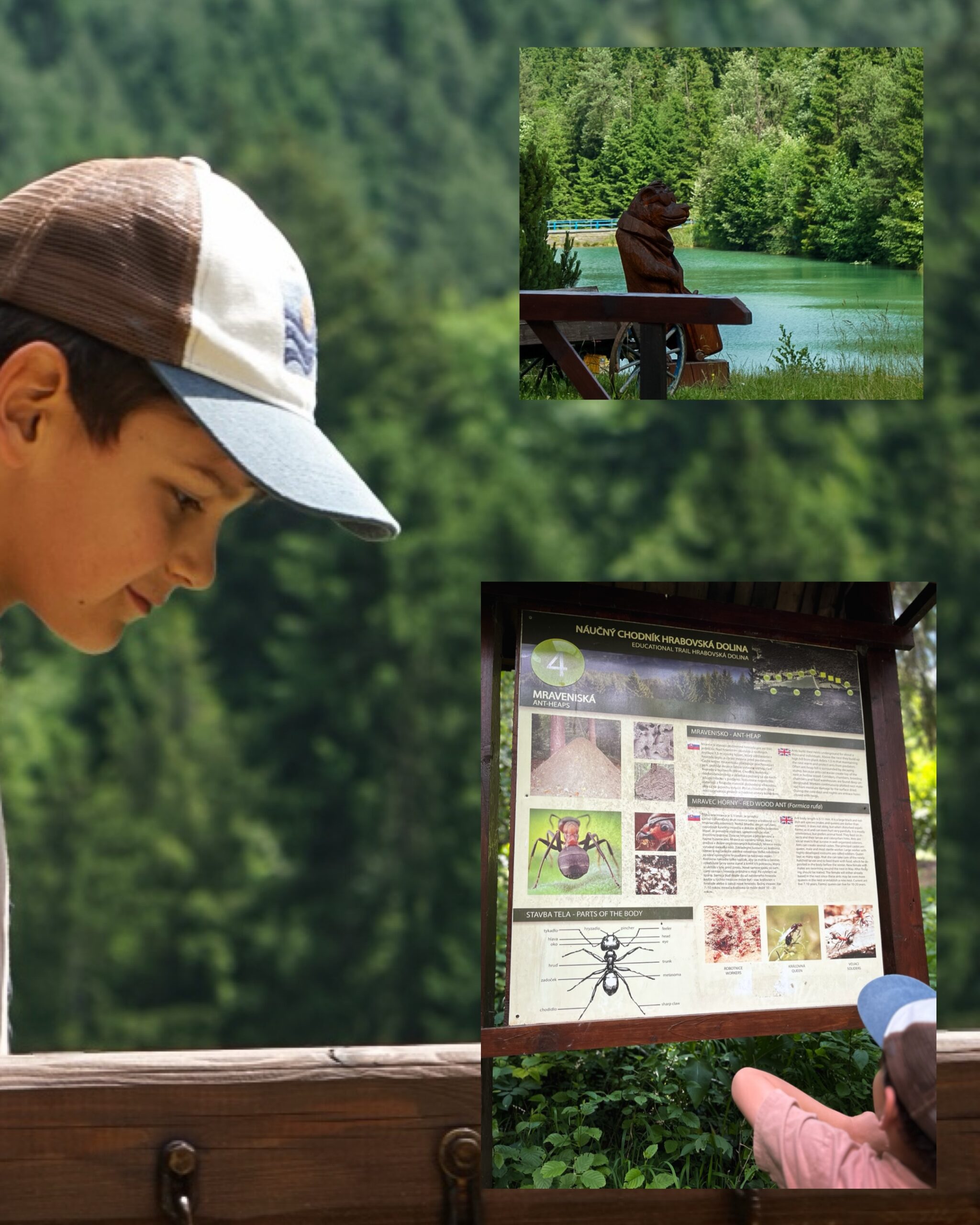 Dziecko ogląda tablicę edukacyjną na ścieżce Droga Niedźwiedzia w Dolinie Hrabovo, w tle drewniana rzeźba niedźwiedzia przy jeziorze.