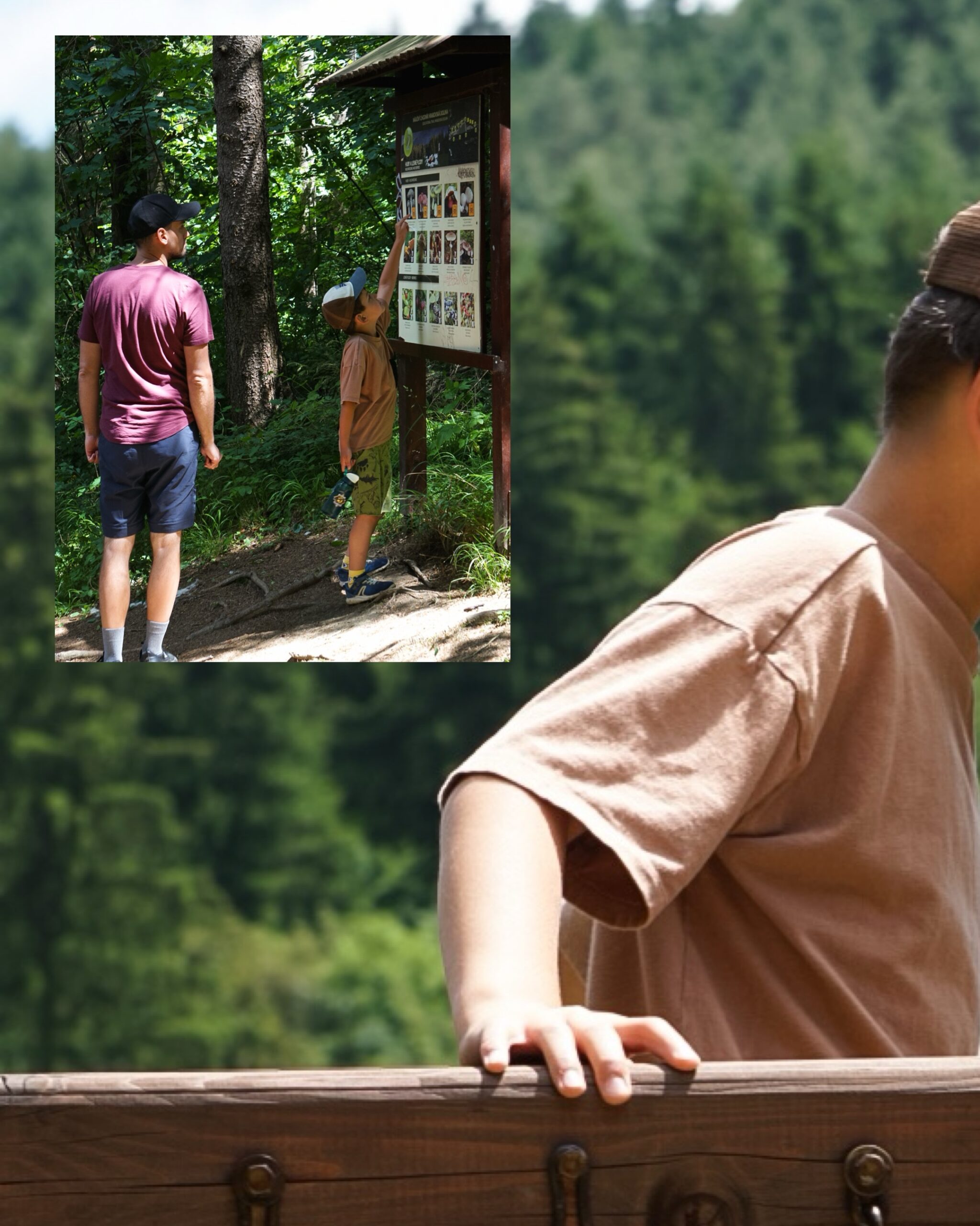 Ojciec i syn czytają tablicę edukacyjną o zwierzętach w lesie podczas spaceru w Dolinie Hrabovo.