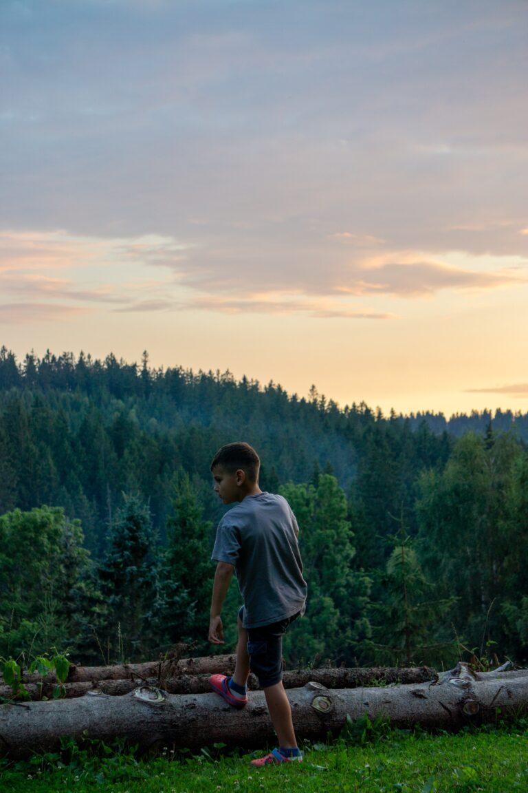 Leo idzie po kłodzie przy zachodzie słońca, Harrachov
