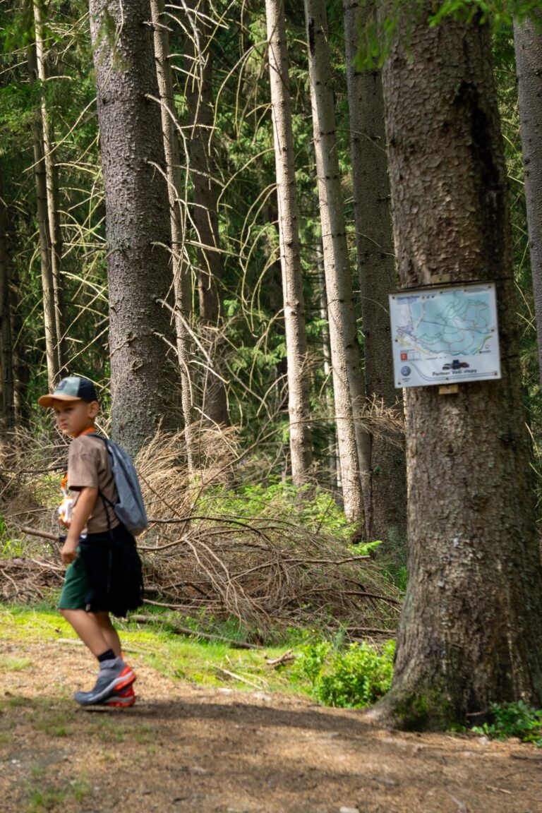 Chłopiec idący ścieżką w lesie w Harrachovie, obok drzewa z mapą szlaków.