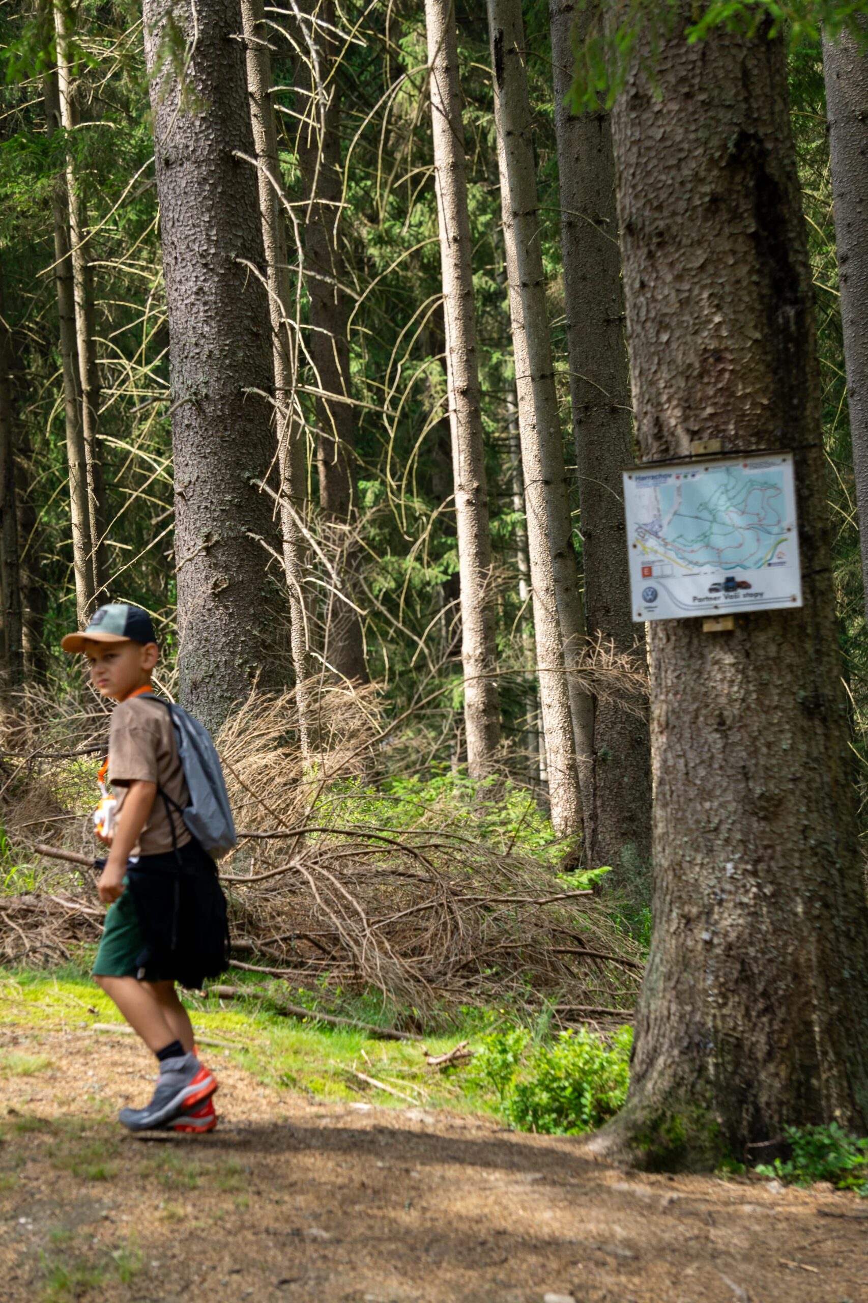 Chłopiec idący ścieżką w lesie w Harrachovie, obok drzewa z mapą szlaków.